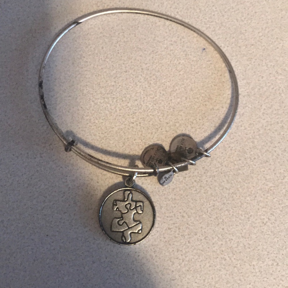Alex and Ani Puzzle Piece